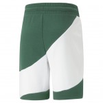 4sh PUMA 675175-37 POWER Cat Shorts Men - green/white